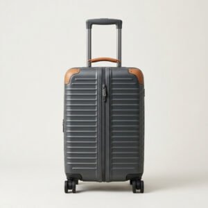 20in Hardshell Carry-On - Cabin & Check-In